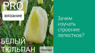 PRO  Вязание БЕЛЫЙ ТЮЛЬПАН