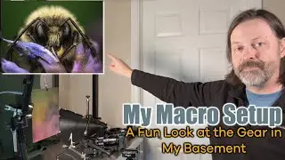 My Indoor Set-up for Wildlife and Nature Macro Photography