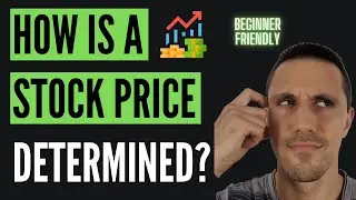 HOW IS A SHARE PRICE DETERMINED? (BEGINNER FRIENDLY)