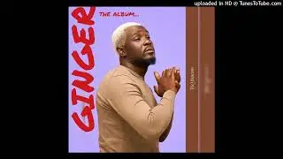Terry Afrika Ginger Album Official Mixtape By Dj Widzo Bravesounds Entertainment
