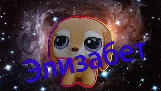"Лучший клип!":Элизабет! ГОЛОСУЙТЕ! №6