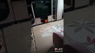 Банка