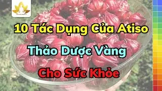 Tác Dụng Của Atiso Với Sức Khỏe - Giải Độc Gan, Tốt Tim, Đẹp Da Và Hơn Thế Nữa!
