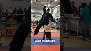 Martial Arts Power Test | Black Belt Hammer Fist Board Breaking 