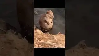 Секретная техника самомассажа живота после застольев 