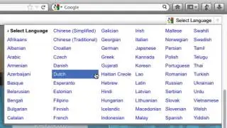 27 How to view my website in different languages