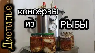 Рыба в кореньях на автоклаве   Fansel Mini
