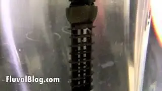 Fluval G Test Drive Station.mp4