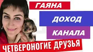 ЧЕТВЕРОНОГИЕ  ДРУЗЬЯ  // ГАЯНА И ЕЁ КАНАЛ ЧЕТВЕРОНОГИЕ ДРУЗЬЯ //ДОХОД  ЗА  2022 ГОД //