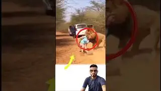 أهمية الحذر في السفاري شاهد ما حدث فجأة​#طبيعة #سفاري #مغامرة #حياة_برية