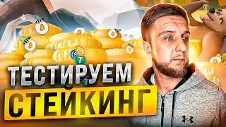 Grizzly Fi | СТЕЙКИНГ монеты GHNY | ИНСТРУКЦИЯ