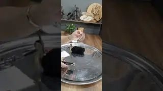 Iki kişiyi biri birinden ayırmak soğutmak uzaklaştırmak için RÜTÜEL. 