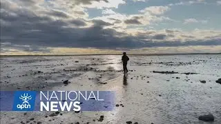 Mushkegowuk Council pitches marine conservation area along James, Hudson Bay coastlines | APTN News
