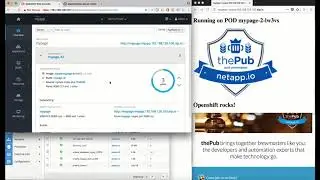 NetApp: Dynamic Storage Provisioning for Kubernetes/Openshift Demo