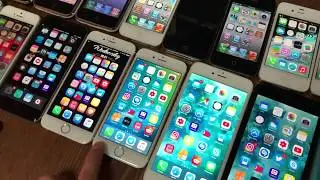 My Apple Collection!