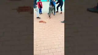 Поджёг колёса и поехал
