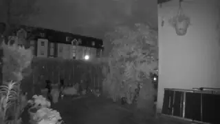 Flauschcontent Besuch 14 05 2017 04 56