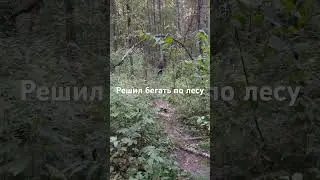 Решил бегать по лесу 