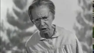 The Beverly Hillbillies - Season 2, Episode 19 (1964) - The Race for Queen - Paul Henning