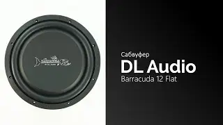 Распаковка сабвуфера DL Audio Barracuda 12 Flat 12