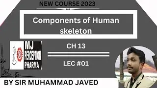 Components of Human Skeleton || Chapter 13|| Components of Human Skeleton in 10th class Biology