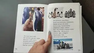 Сказка Пингвины