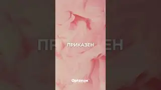 Бон Бон - Цвят 2024
