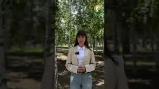 #зависимость #игромания #реабилитация #любовь #синтетика #саморазвитие