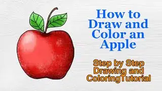 How to Draw an Apple - Step by Step Drawing and Coloring Tutorial Live in HD
