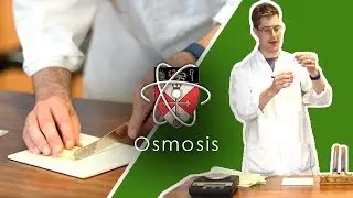 Osmosis - GCSE Science Required Practical