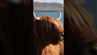 The Isle Of Skye Trail is one not to miss! i hiked the 80 mile route solo in April and loved it!