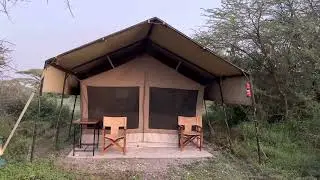 Africa Awakens