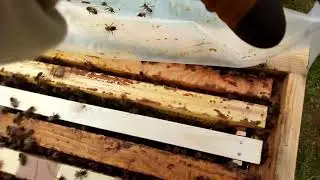 Первый вывод маток для себя)))) одеваю бигуди)