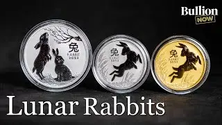 Rabbits are Starting to Arrive! - Lunar Rabbits 2023 UNBOXED