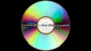CD Pickups - Limp Bizkit & Unearth