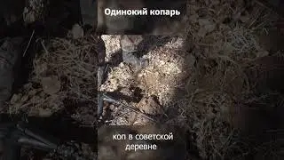звук металлодетектора на очередную монету!  