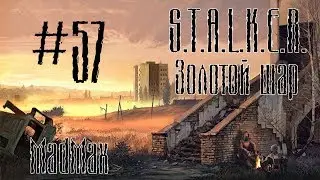 STALKER: Золотой шар. Завершение. Часть 57 - Башковитый Антон
