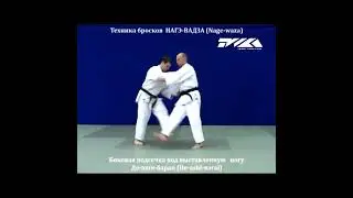Дзюдо ( Боковая подсечка под выставленную ногу )