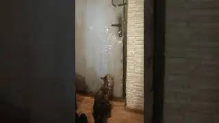 Мейн кун дерет двери?? Сделай так! Мы отучили=)