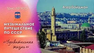Удивительная жизнь. (кавер, квартет 