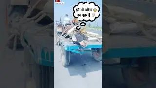 Rescued Go mata 🐮 | 