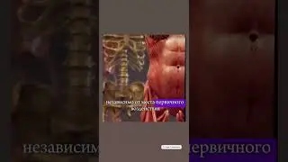 Когда меня спрашивают; что я делаю на сеансе остеопрактики .