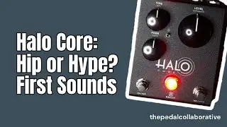 First Sounds with Halo Core by @KeeleyElectronicsEdmond #stereo #delay #npd #limitededition