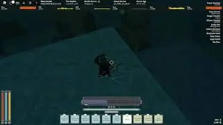 Deepwoken exploiter wipes me