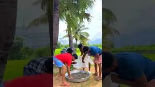 20Million Tiny Fish Curry #shorts