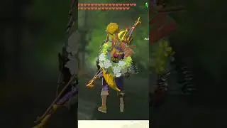 Zelda's Secret Well | Well Worn Hair Band | Zelda Tears of the Kingdom #shorts #shortsvideo