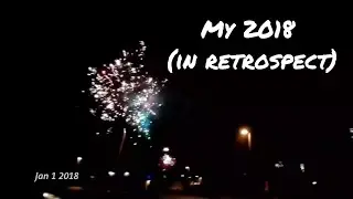 2018 In Retrospect // Malene Simonsen