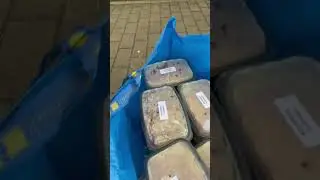 Save the food, feed the world