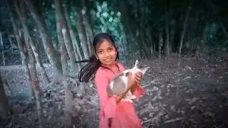 Beautiful Cute Girl.