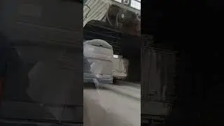 догоним троллейбус?